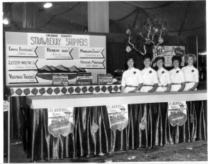 1963 Strawberry Shippers