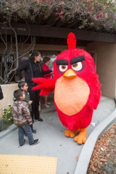 Angry Bird at at Garden Grove Strawberry Festival