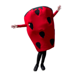 Stawberry festival mascot