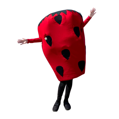 Stawberry festival mascot